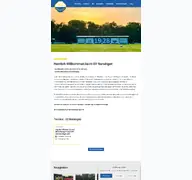 Kleine Seitenvorschau von svnersingen.de
