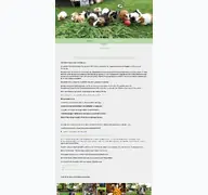 Kleine Seitenvorschau von meerschweinchengarten.de