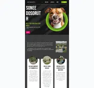 Kleine Seitenvorschau von soneedosoruth.de