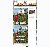Kleine Seitenvorschau von hof-birkenhoehe.de