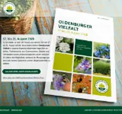 Kleine Seitenvorschau von meineoldenburger-magazin.de