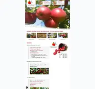Kleine Seitenvorschau von hofladen-obstbau-menzel.de