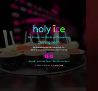 Kleine Seitenvorschau von holyice.de