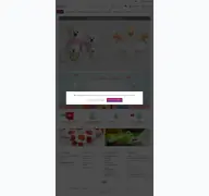 Kleine Seitenvorschau von sunkid.de