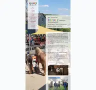 Kleine Seitenvorschau von ponyhof-ludwig.de