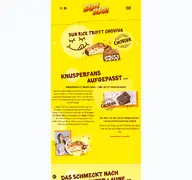 Kleine Seitenvorschau von sunrice.de