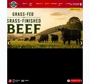 Kleine Seitenvorschau von steaknshake.com