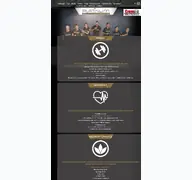 Kleine Seitenvorschau von platinumsports.de