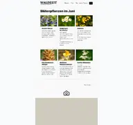 Kleine Seitenvorschau von waldzeit.ch
