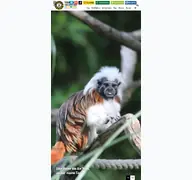 Kleine Seitenvorschau von tierwelt-herberstein.at