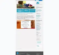 Kleine Seitenvorschau von aai-aachen-koeln.de