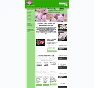 Kleine Seitenvorschau von clematis.de