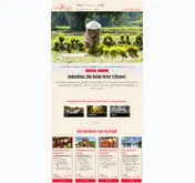 Kleine Seitenvorschau von zugvogeltouristik.de