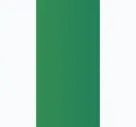 Kleine Seitenvorschau von cli-kongress.de