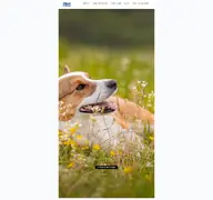 Kleine Seitenvorschau von cfbrh-hessen.de