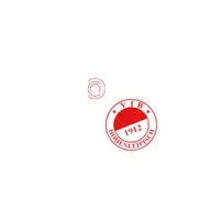 Kleine Seitenvorschau von vfb-hohenleipisch.de