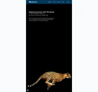 Kleine Seitenvorschau von backbone.ch