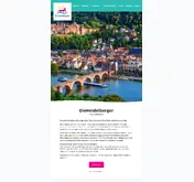 Kleine Seitenvorschau von dieheidelberger.de