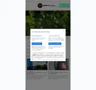 Kleine Seitenvorschau von e-commerce-magazin.de