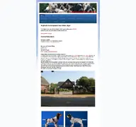 Kleine Seitenvorschau von cockerspanielwelpen.de