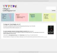 Kleine Seitenvorschau von collegium-cardiologicum.de