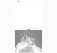 Kleine Seitenvorschau von steedwear.at