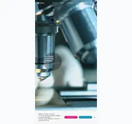 Kleine Seitenvorschau von lgchem.com