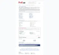 Kleine Seitenvorschau von profi.ua