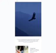 Kleine Seitenvorschau von condor-versicherungen.de
