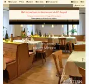 Kleine Seitenvorschau von michelsstern.de