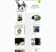Kleine Seitenvorschau von tierschutzverein-pinneberg.de