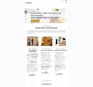 Kleine Seitenvorschau von dielen-kaufen.de