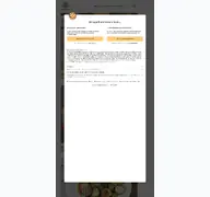 Kleine Seitenvorschau von cookandsoul.de