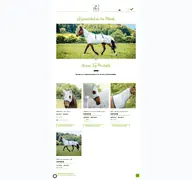 Kleine Seitenvorschau von reitsport-haemmerle.de