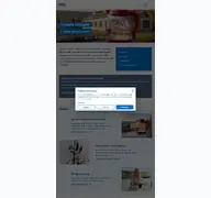 Kleine Seitenvorschau von ewz.ch
