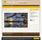 Kleine Seitenvorschau von corvus-bodensee.de