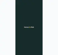 Kleine Seitenvorschau von horseinpub.de