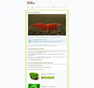 Kleine Seitenvorschau von redfire-garnelen.de