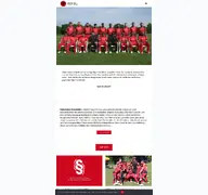 Kleine Seitenvorschau von cricket.de