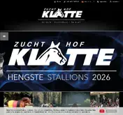 Kleine Seitenvorschau von klatte.de