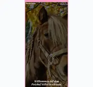 Kleine Seitenvorschau von ponyhof-stiller.de
