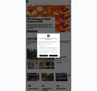 Kleine Seitenvorschau von nycgo.com