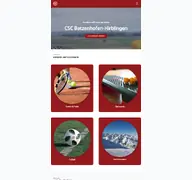 Kleine Seitenvorschau von csc-intern.de