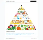 Kleine Seitenvorschau von naehrwert-index.de