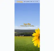 Kleine Seitenvorschau von cura-vita-oestringen.de