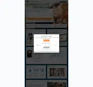 Kleine Seitenvorschau von interfriendship.de