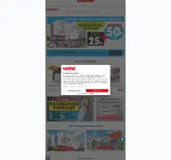 Kleine Seitenvorschau von mobile-wohnspass.de