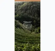 Kleine Seitenvorschau von marxenwein.de