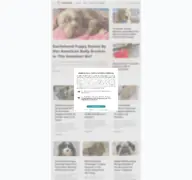 Kleine Seitenvorschau von cuteness.com