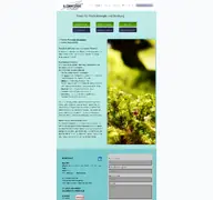 Kleine Seitenvorschau von psysysberatung.de